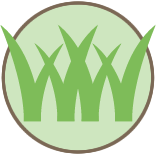MW Brush Clearing