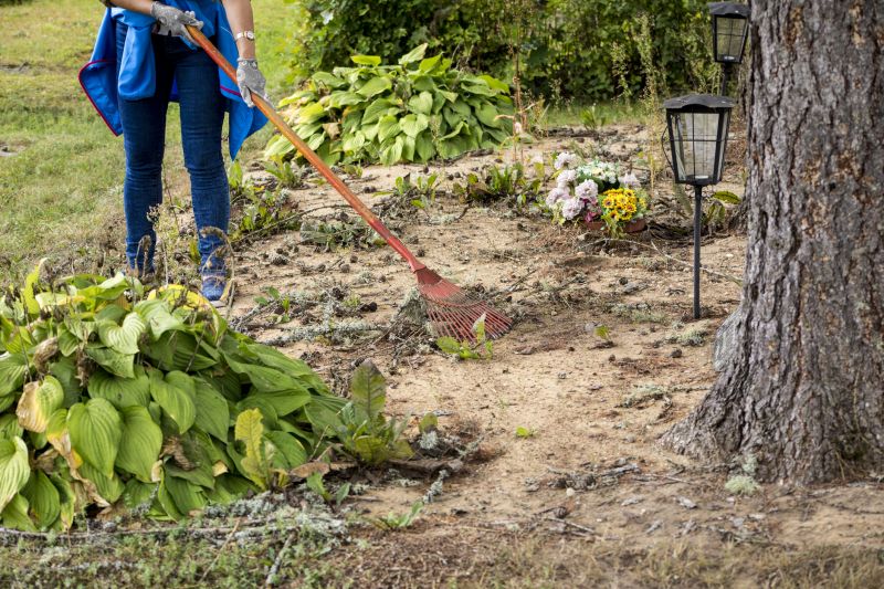 Local Brush Clearing pros at work