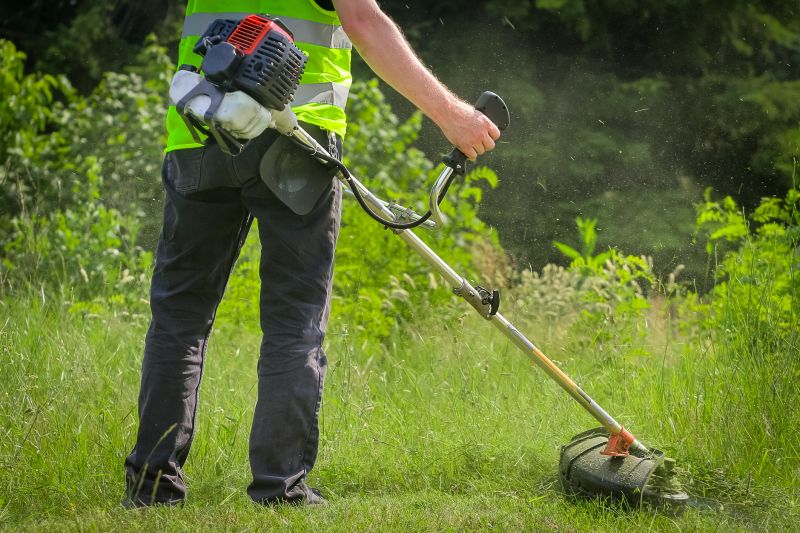 Cost of Brush Clearing Services — Cost of Brush Clearing