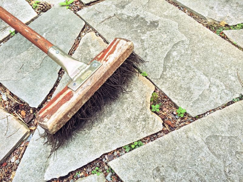Expert Brush Clearing Services — cost of