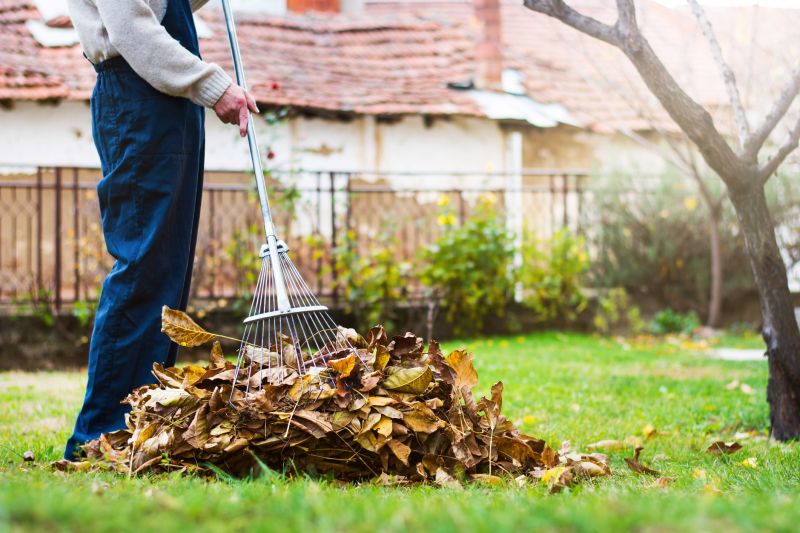 Seasonal Leaf Cleanup