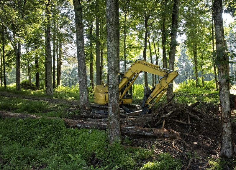 Professional Land Clearing Companies